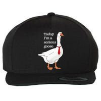 Today I Am A Serious Goose Funny Oddly Specific Dank Meme Wool Snapback Cap