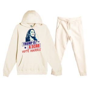 Trump Is A Scab Vote Kamala Harris Funny 2024 Premium Hooded Sweatsuit Set