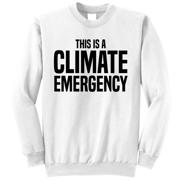 This Is A Climate Emergency Sweatshirt