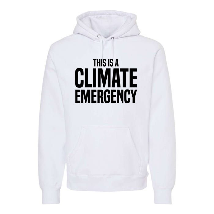 This Is A Climate Emergency Premium Hoodie