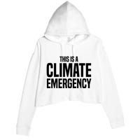 This Is A Climate Emergency Crop Fleece Hoodie