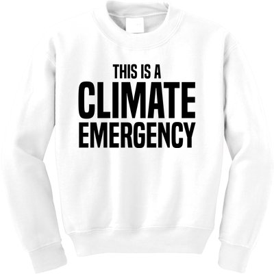 This Is A Climate Emergency Kids Sweatshirt