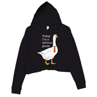 Today IM A Serious Goose Silly Goose Crop Fleece Hoodie