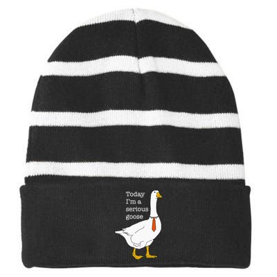 Today IM A Serious Goose Silly Goose Striped Beanie with Solid Band