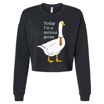 Today IM A Serious Goose Silly Goose Cropped Pullover Crew