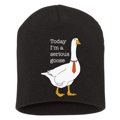 Today IM A Serious Goose Silly Goose Short Acrylic Beanie