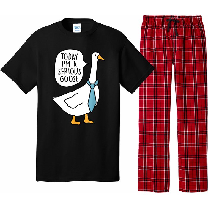 Today IM A Serious Goose Funny Serious Goose Pajama Set