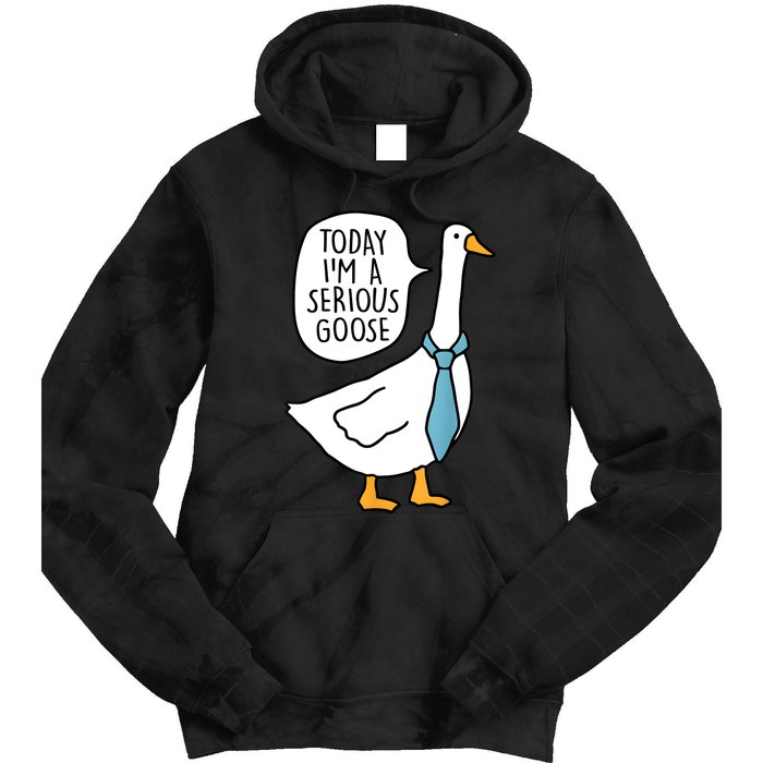 Today IM A Serious Goose Funny Serious Goose Tie Dye Hoodie