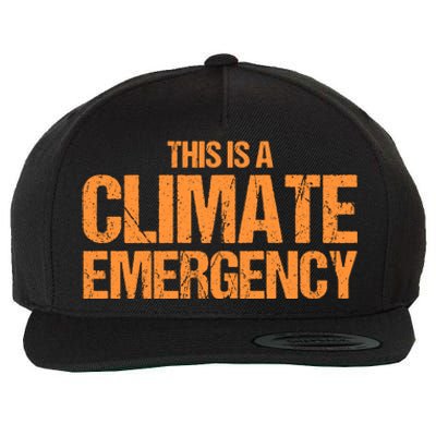 This Is A Climate Emergency Wool Snapback Cap