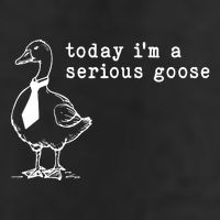Today IM A Serious Goose 7 Panel Mesh Trucker Snapback Hat