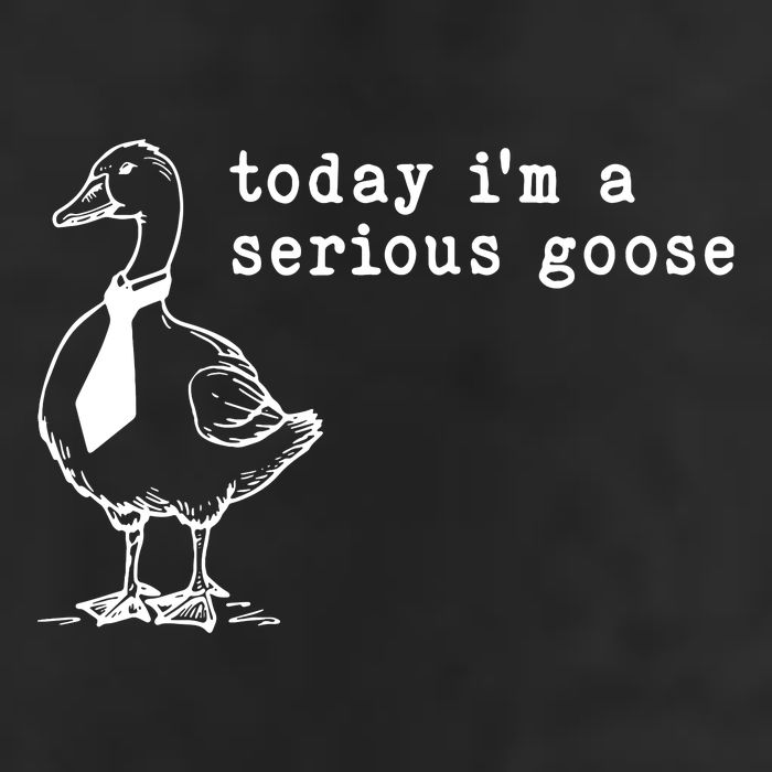 Today IM A Serious Goose 7 Panel Mesh Trucker Snapback Hat