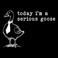Today IM A Serious Goose Cooling Performance Crew T-Shirt