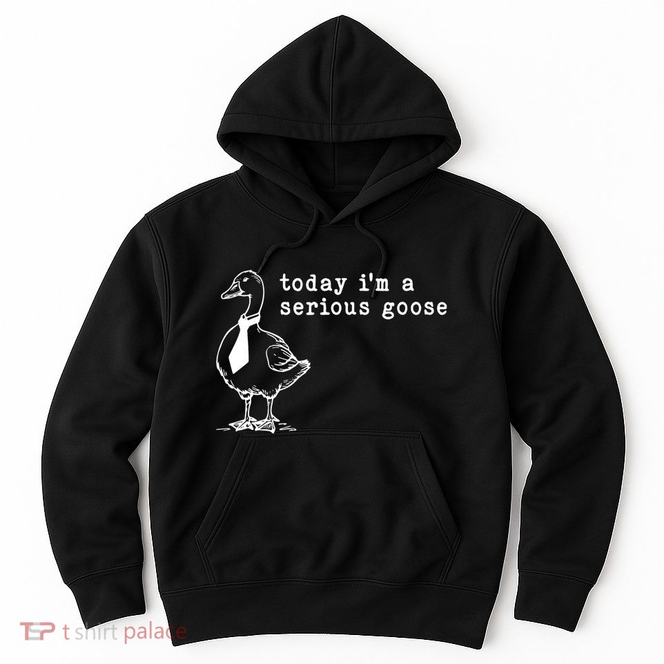 Today IM A Serious Goose Hoodie