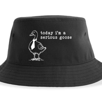 Today IM A Serious Goose Sustainable Bucket Hat