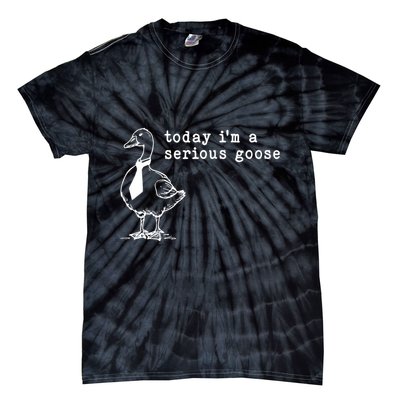 Today IM A Serious Goose Tie-Dye T-Shirt