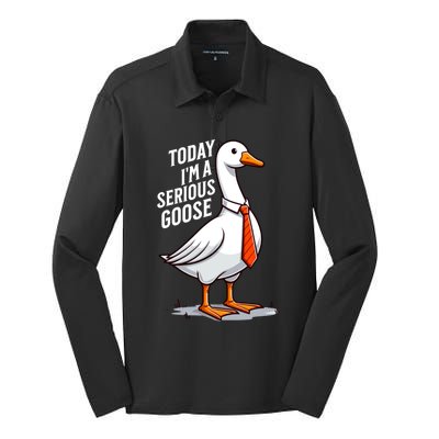 Today IM A Serious Goose Funny Silly Goose Cute Silk Touch Performance Long Sleeve Polo