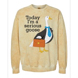 Today IM A Serious Goose Funny Goose Colorblast Crewneck Sweatshirt