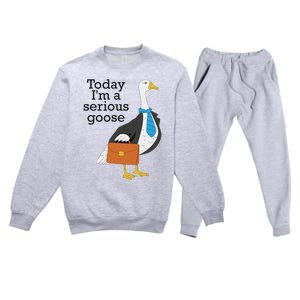 Today IM A Serious Goose Funny Goose Premium Crewneck Sweatsuit Set