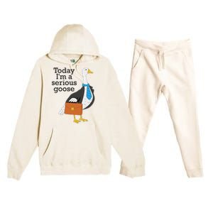 Today IM A Serious Goose Funny Goose Premium Hooded Sweatsuit Set