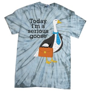 Today IM A Serious Goose Funny Goose Tie-Dye T-Shirt