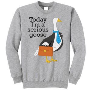 Today IM A Serious Goose Funny Goose Tall Sweatshirt