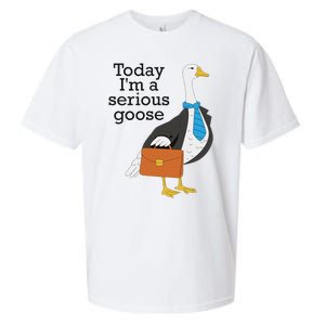 Today IM A Serious Goose Funny Goose Sueded Cloud Jersey T-Shirt