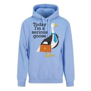 Today IM A Serious Goose Funny Goose Unisex Surf Hoodie