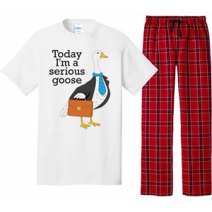 Today IM A Serious Goose Funny Goose Pajama Set