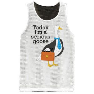 Today IM A Serious Goose Funny Goose Mesh Reversible Basketball Jersey Tank