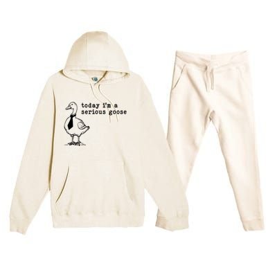 Today IM A Serious Goose Premium Hooded Sweatsuit Set