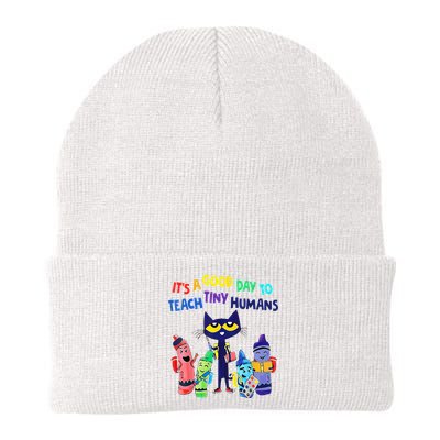 Teacher It's A Good Day To Teach Tiny Humans Beanie