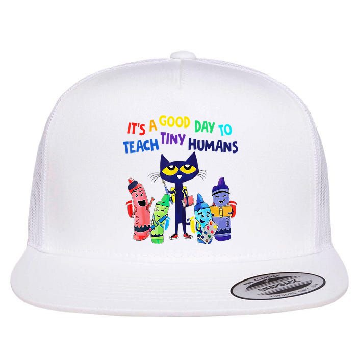 Teacher It's A Good Day To Teach Tiny Humans Flatbill Hat