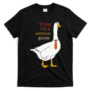 Today IM A Serious Goose Funny Silly Goose T-Shirt