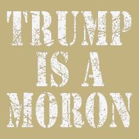 Trump Is A Moron Antitrump Dumb Stupid Idiot Cooling Performance Crew T-Shirt