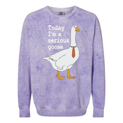 Today Im A Serious Goose Silly Humor Colorblast Crewneck Sweatshirt