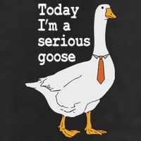 Today Im A Serious Goose Silly Humor Adult Drive Performance Visor