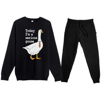 Today Im A Serious Goose Silly Humor Premium Crewneck Sweatsuit Set