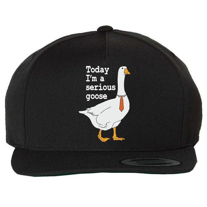 Today Im A Serious Goose Silly Humor Wool Snapback Cap
