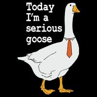 Today Im A Serious Goose Silly Humor Wool Snapback Cap