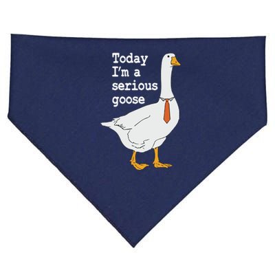 Today Im A Serious Goose Silly Humor USA-Made Doggie Bandana