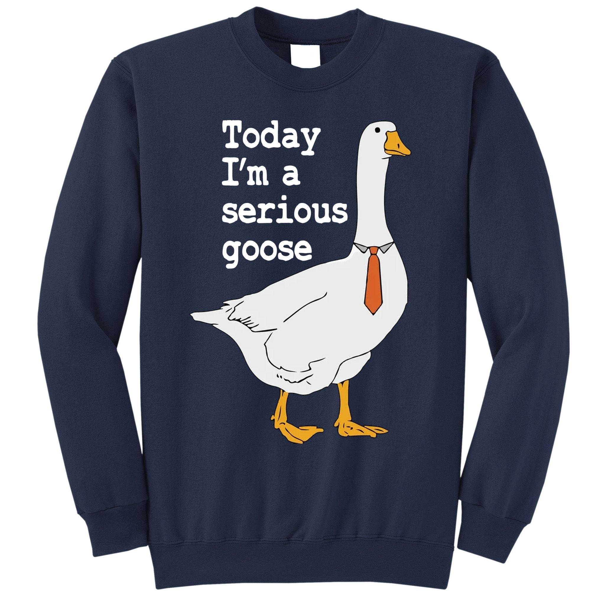 Today Im A Serious Goose Silly Humor Sweatshirt