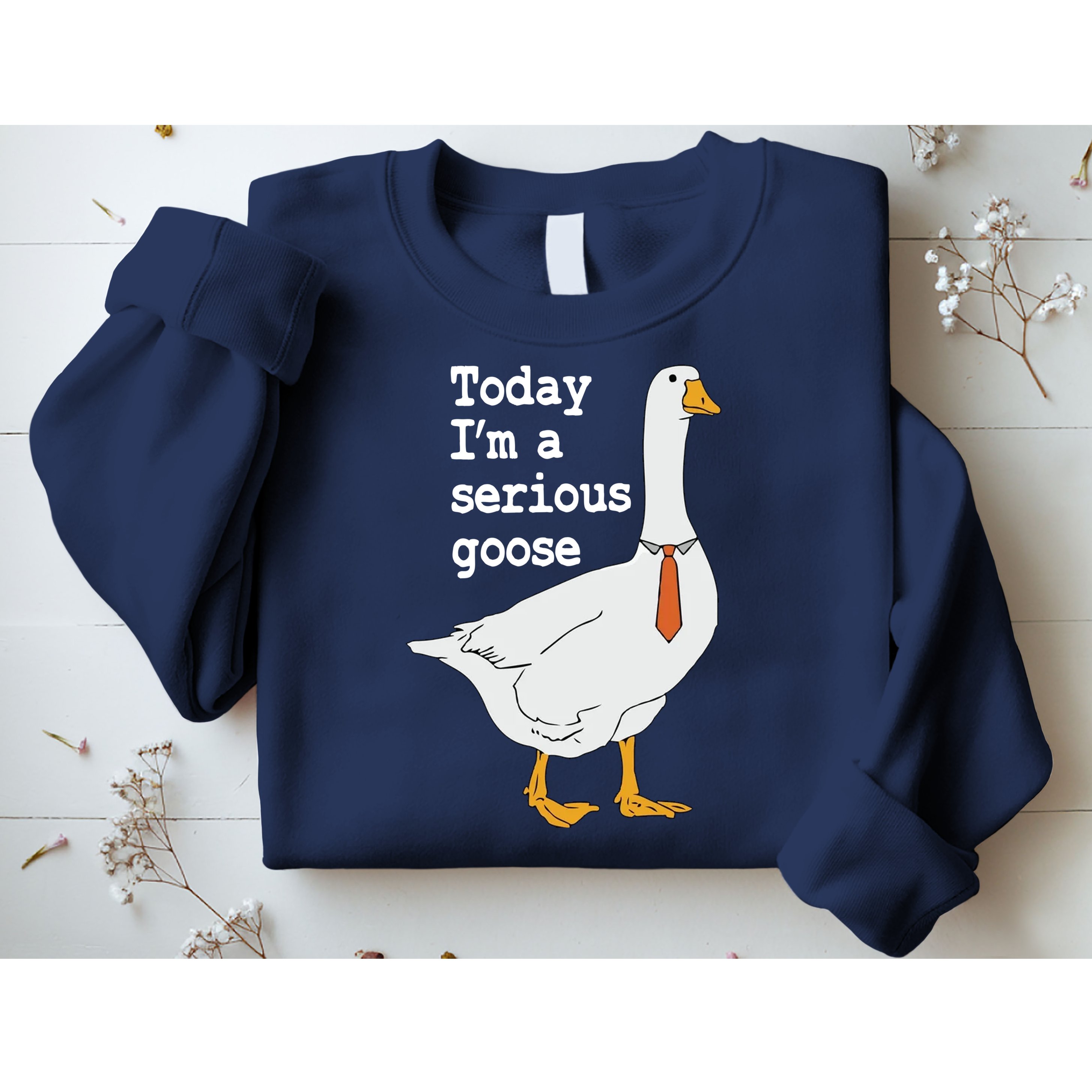 Today Im A Serious Goose Silly Humor Sweatshirt