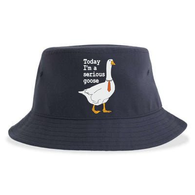 Today Im A Serious Goose Silly Humor Sustainable Bucket Hat