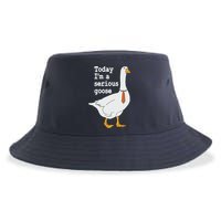 Today Im A Serious Goose Silly Humor Sustainable Bucket Hat