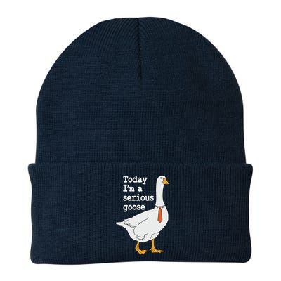 Today Im A Serious Goose Silly Humor Beanie