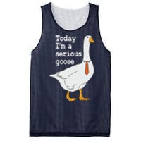 Today Im A Serious Goose Silly Humor Mesh Reversible Basketball Jersey Tank