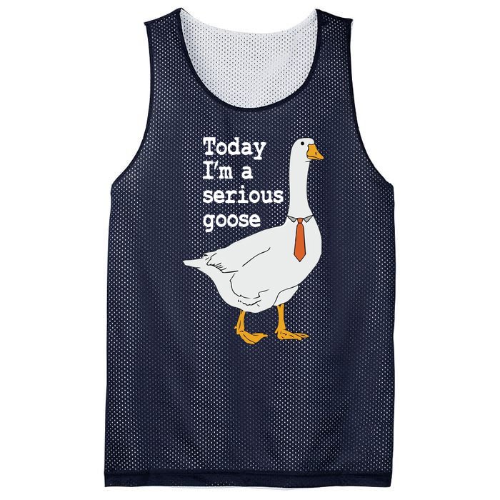 Today Im A Serious Goose Silly Humor Mesh Reversible Basketball Jersey Tank