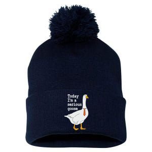 Today Im A Serious Goose Silly Humor Pom Pom 12in Knit Beanie