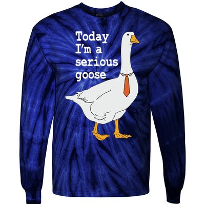 Today Im A Serious Goose Silly Humor Tie-Dye Long Sleeve Shirt