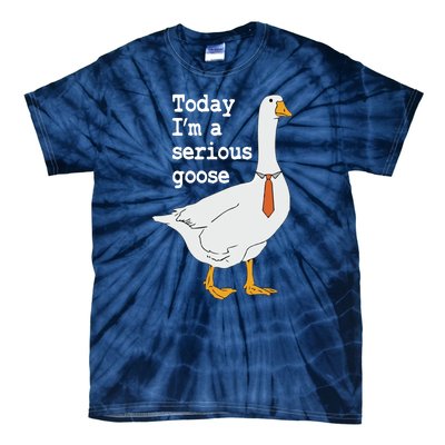 Today Im A Serious Goose Silly Humor Tie-Dye T-Shirt